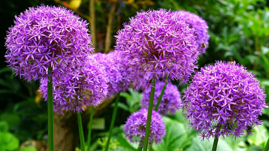 Horticulteur à Québec